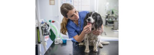 Medicina Legal Veterinária